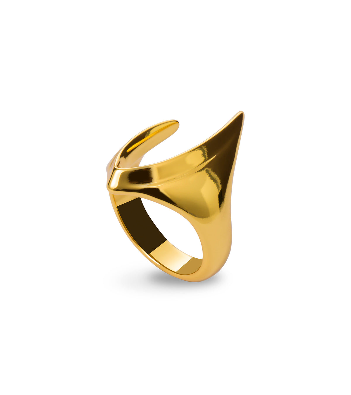 ANELLO LEONIE